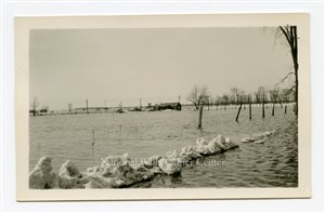 Image description is not available for PHO-264-687